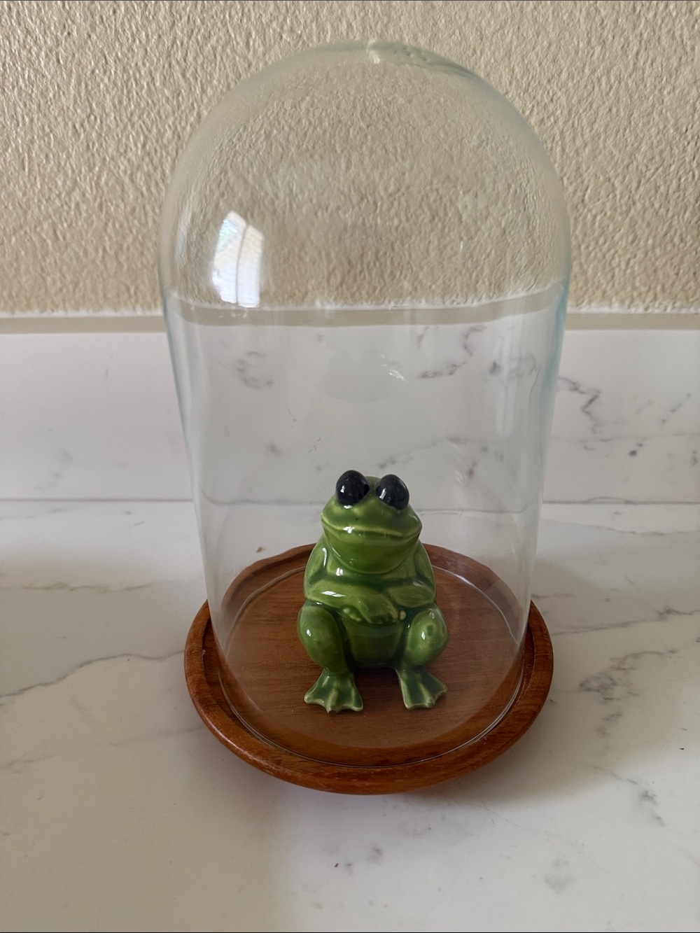 Ceramic Frog in Small Cloche
